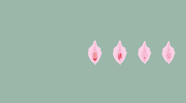 "You lose your virginity using tampons" • THE HYMEN MYTH